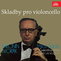 Přední strana obalu CD Dvořák: Skladby pro violoncello