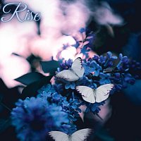 Přední strana obalu CD Rise