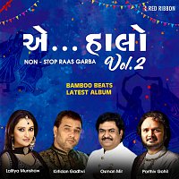 Osman Mir, Kirtidan Gadhvi, Lalitya Munshaw, Parthiv Gohil, Firoz Ladka – Aye Halo Vol. 2