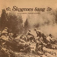 Přední strana obalu CD Skogens sang