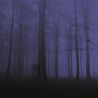 Přední strana obalu CD Apparitions I