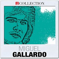 Miguel Gallardo – iCollection
