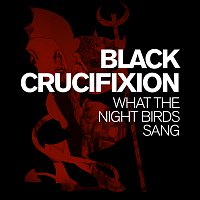 Black Crucifixion – What The Night Birds Sang