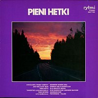 Various  Artists – Pieni hetki