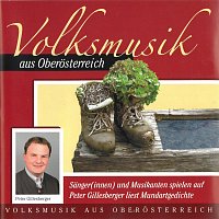 Různí interpreti – Volksmusik aus Oberösterreich - Sänger(Innen) und Musikanten spielen auf - Peter Gillesberger liest Mundartgedichte