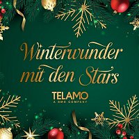Přední strana obalu CD Winterwunder mit den Stars
