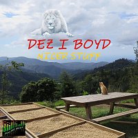 Dez I Boyd – Nicer Stuff