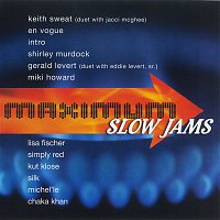 Přední strana obalu CD Maximum Slow Jams