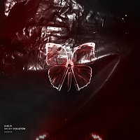 Přední strana obalu CD Бабочка