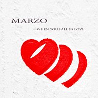 Přední strana obalu CD When You Fall in Love