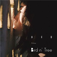 Přední strana obalu CD Bird n' Tree