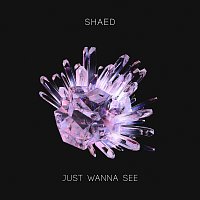 SHAED – Just Wanna See