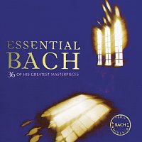 Různí interpreti – Essential Bach