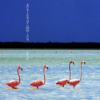 AnalogDrumming – Avon