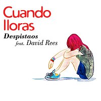 Despistaos – Cuando lloras (feat. David Rees)