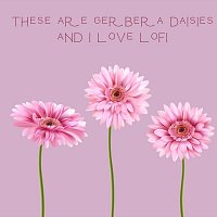 Radanna – These Are Gerbera Daisies and i Love Lofi