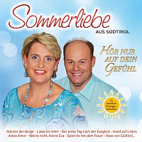Přední strana obalu CD Hor nur auf dein Gefuhl - 13 beliebte Schlagermelodien