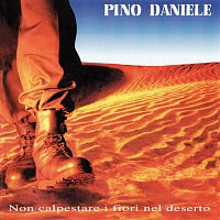 Pino Daniele – Non calpestare i fiori nel deserto (Remastered Version)