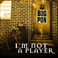 I'm Not a Player EP