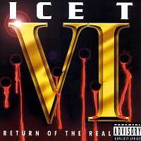VI: Return Of The Real