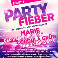 Přední strana obalu CD Partyfieber - Folge 3