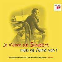 Přední strana obalu CD Je n'aime pas Schubert, mais ca j'aime bien !