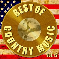 Přední strana obalu CD Best of Country Music Vol. 12