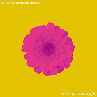 The Chain Gang Of 1974 – I Still Wonder [The New Division Remix]
