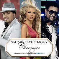Sahara – Champagne (feat. Shaggy) [Jump Smokers Radio Mix]