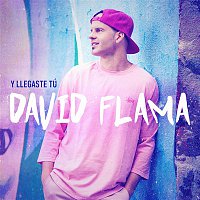 David Flama – Y llegaste tú
