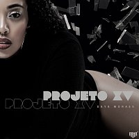 Přední strana obalu CD Projeto XV