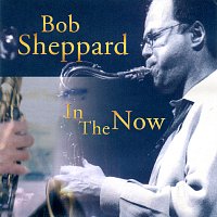 Bob Sheppard – In The Now