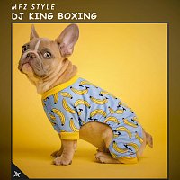 Přední strana obalu CD DJ King Boxing