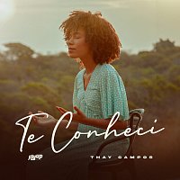 Thay Campos, Flyup Digital – Te Conheci