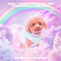 Meghan Trainor – You Don't Know Me (Sidekick Remix)
