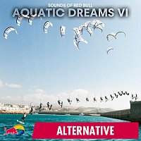 Přední strana obalu CD Aquatic Dreams VI