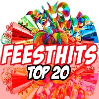 Přední strana obalu CD Feesthits Top 20