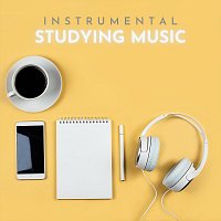 Různí interpreti – Instrumental Studying Music