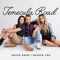 Temecula Road – Never Knew I Needed You