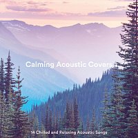 Různí interpreti – Calming Acoustic Covers: 14 Chilled and Relaxing Acoustic Songs