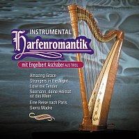 Engelbert Aschaber aus Tirol – Harfenromantik