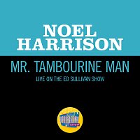 Noel Harrison – Mr. Tambourine Man [Live On The Ed Sullivan Show, November 13, 1966]