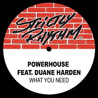 Powerhouse – What You Need (feat. Duane Harden)
