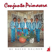 Conjunto Primavera – Demasiado Tarde