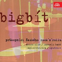 Přední strana obalu CD Bigbít: Průkopníci českého rock'n'rollu