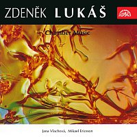 Přední strana obalu CD Lukáš: Chamber Music