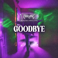 Housejunkee, Anthony Carney – Goodbye