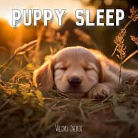 Welcome Oneiros – Puppy Sleep
