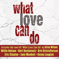 Různí interpreti – What Love Can Do