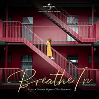 Breathe In [The Remixes]